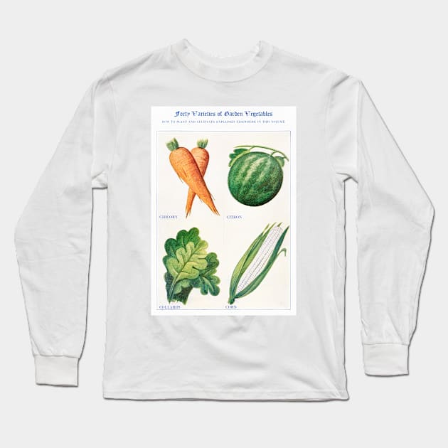 Garden Vegetable watercolor illustration (1915) Long Sleeve T-Shirt by WAITE-SMITH VINTAGE ART